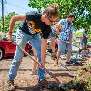 Student volunteers gardening