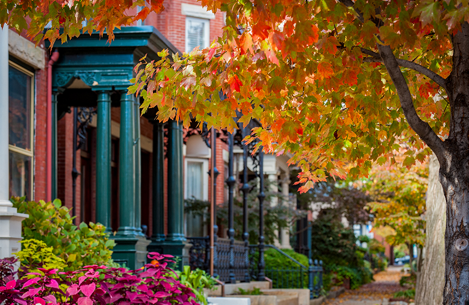 Brick row houses with fall foliage.