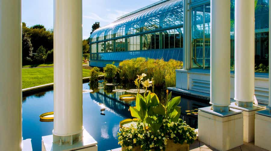 Pond in front of a greenhouse