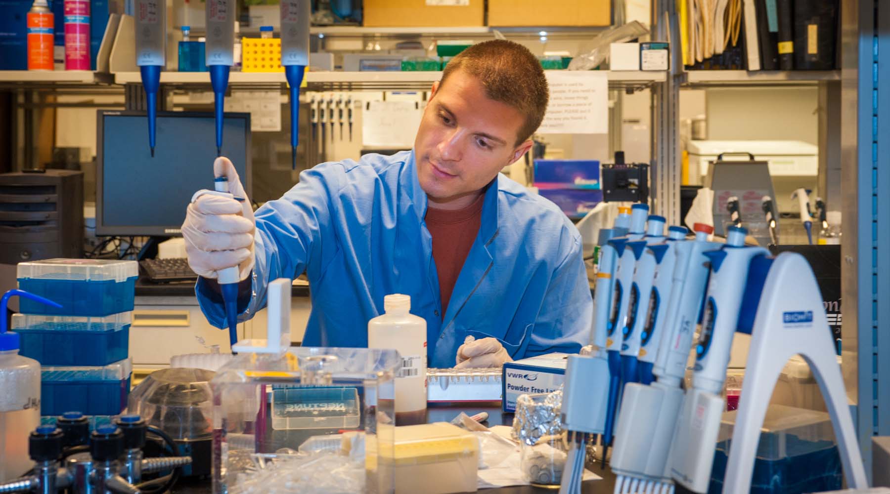 A researcher in the lab